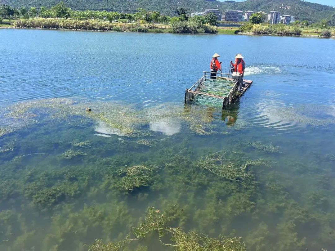 1757575189713257.jpg 1.jpg